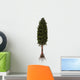 Asterophyllites Plant Carboniferous Period Wall Decal
