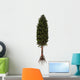 Asterophyllites Plant Carboniferous Period Wall Decal
