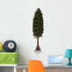 Asterophyllites Plant Carboniferous Period Wall Decal