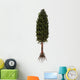 Asterophyllites Plant Carboniferous Period Wall Decal
