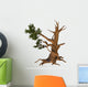 Pinus Aristata Rocky Mountain Wall Decal