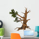 Pinus Aristata Rocky Mountain Wall Decal