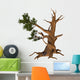 Pinus Aristata Rocky Mountain Wall Decal