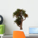 Cordyline Australis Known as Wall Decal