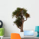 Cordyline Australis Known as Wall Decal