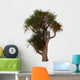 Cordyline Australis Known as Wall Decal