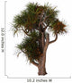 Cordyline Australis Known as Wall Decal