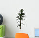 Calamite Plant Carboniverous Period Wall Decal