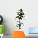 Calamite Plant Carboniverous Period Wall Decal