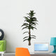 Calamite Plant Carboniverous Period Wall Decal