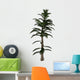Calamite Plant Carboniverous Period Wall Decal