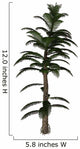 Calamite Plant Carboniverous Period Wall Decal