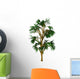 Cordaites Woody Plant from Wall Decal