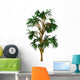 Cordaites Woody Plant from Wall Decal