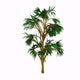 Cordaites Woody Plant from Wall Decal