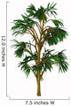 Cordaites Woody Plant from Wall Decal