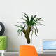 Cycad Plant White Wall Decal Design 3