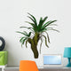 Cycad Plant White Wall Decal Design 3