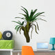 Cycad Plant White Wall Decal Design 3