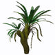 Cycad Plant White Wall Decal Design 3
