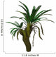 Cycad Plant White Wall Decal Design 3