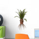 Cycadeoidea Plant White Wall Decal