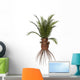 Cycadeoidea Plant White Wall Decal