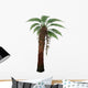 Dicksonia Antarctica Tree Fern Wall Decal