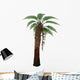 Dicksonia Antarctica Tree Fern Wall Decal