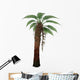 Dicksonia Antarctica Tree Fern Wall Decal