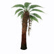 Dicksonia Antarctica Tree Fern Wall Decal