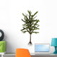 Dicroidium Plant White Wall Decal