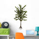 Dicroidium Plant White Wall Decal
