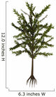 Dicroidium Plant White Wall Decal