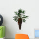 Chamaerops Humilis Is Shrub-like Wall Decal
