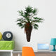 Chamaerops Humilis Is Shrub-like Wall Decal