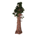 Large Sierra Redwood Tree Wall Decal