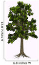 Glossopteris Tree White Wall Decal