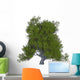 Juniper Plant White Wall Decal
