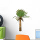 Cycad Plant White Wall Decal Design 2