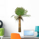 Cycad Plant White Wall Decal Design 2