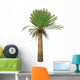 Cycad Plant White Wall Decal Design 2