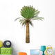 Cycad Plant White Wall Decal Design 2