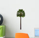 Chamaerops Humilis White Wall Decal