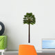 Chamaerops Humilis White Wall Decal