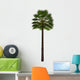 Chamaerops Humilis White Wall Decal