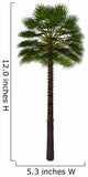 Chamaerops Humilis White Wall Decal