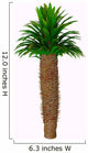Pachypodium Lamerei Plant Species Wall Decal
