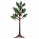 Cordaites Plant White Wall Decal