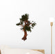 Pinus Aristata Tree White Wall Decal